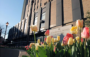 PNES at the Neurological Institute of Columbia Presbyterian. PNES at the Neurological Institute of Columbia Presbyterian.