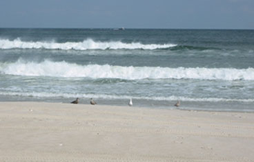 Day at the Beach 