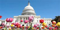 National Walk for Epilepsy 2012 - Washington, DC